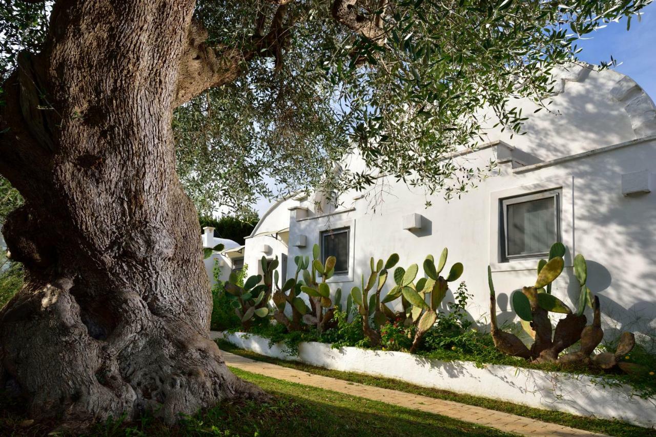 B&B Trullo Barbagiullo Чистерніно Екстер'єр фото